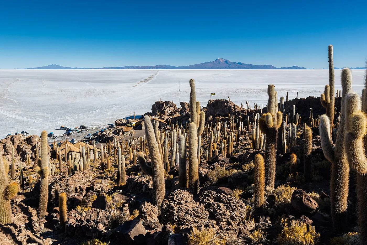 Île aux cactus géants émergeant de la croûte hexagonale de sel du Salar d'Uyuni en saison sèche