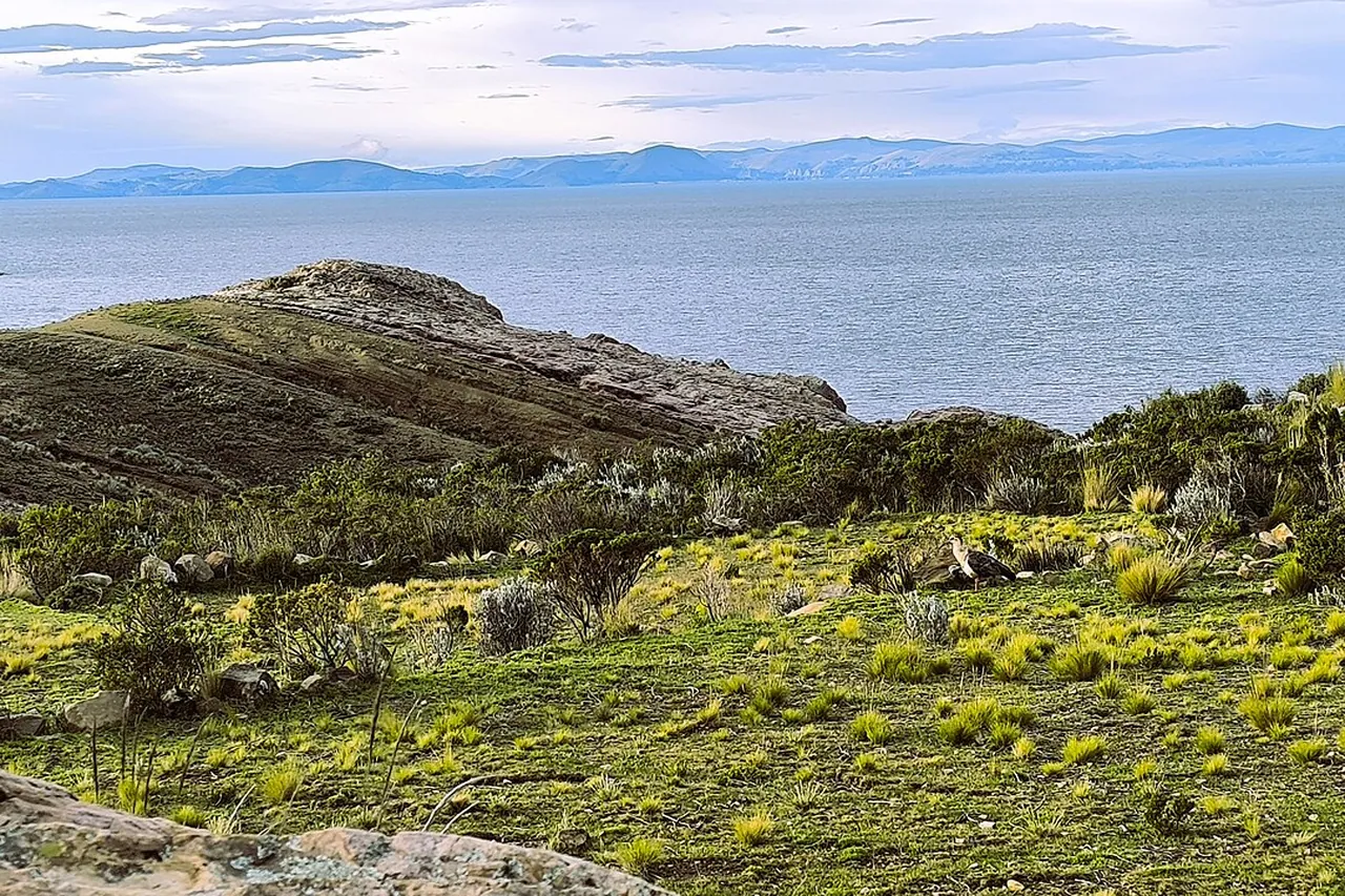 Terrasses agricoles descendant vers les eaux bleues du lac Titicaca depuis l'Isla del Sol