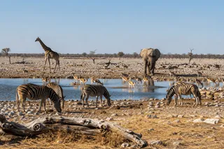 Road trip Namibie