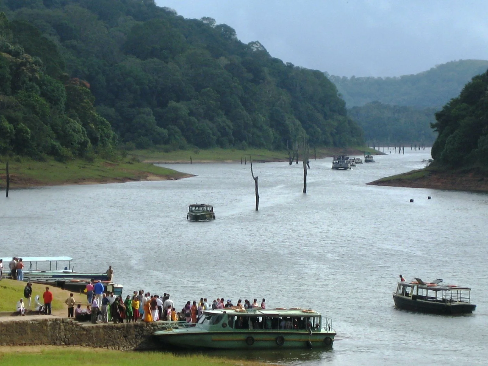 Lac entouré de forêt dans le sanctuaire de Periyar