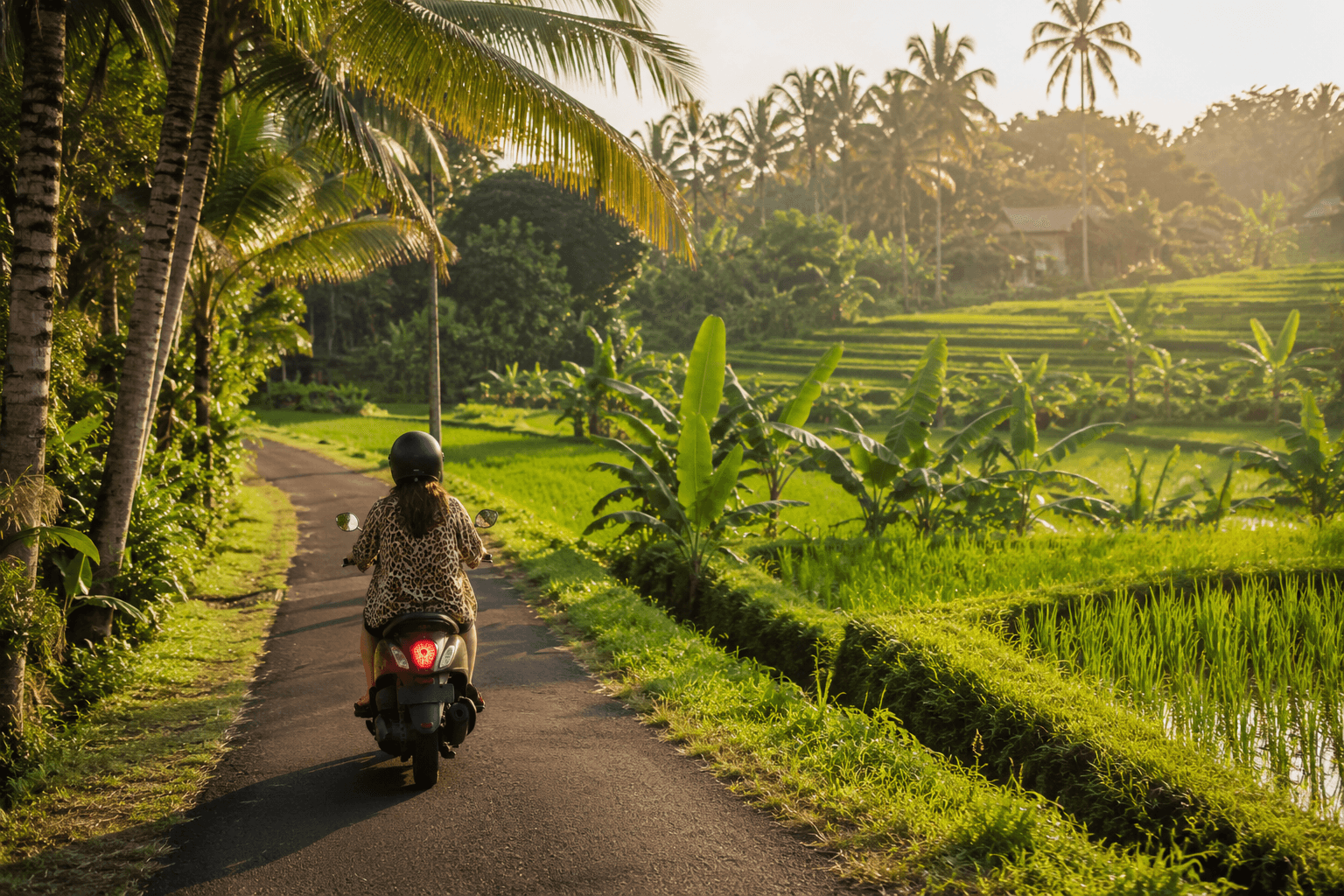 Road trip Bali