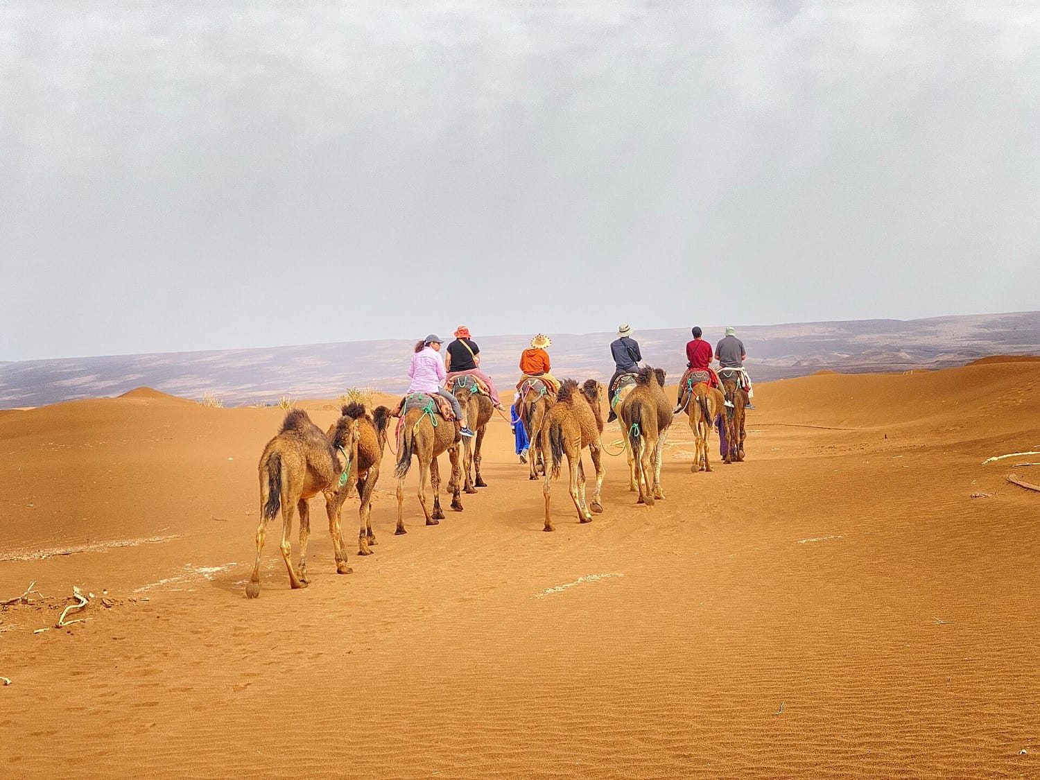 Bivouac à dos de chameau dans le Sahara, Maroc - voyage sur mesure Maroc