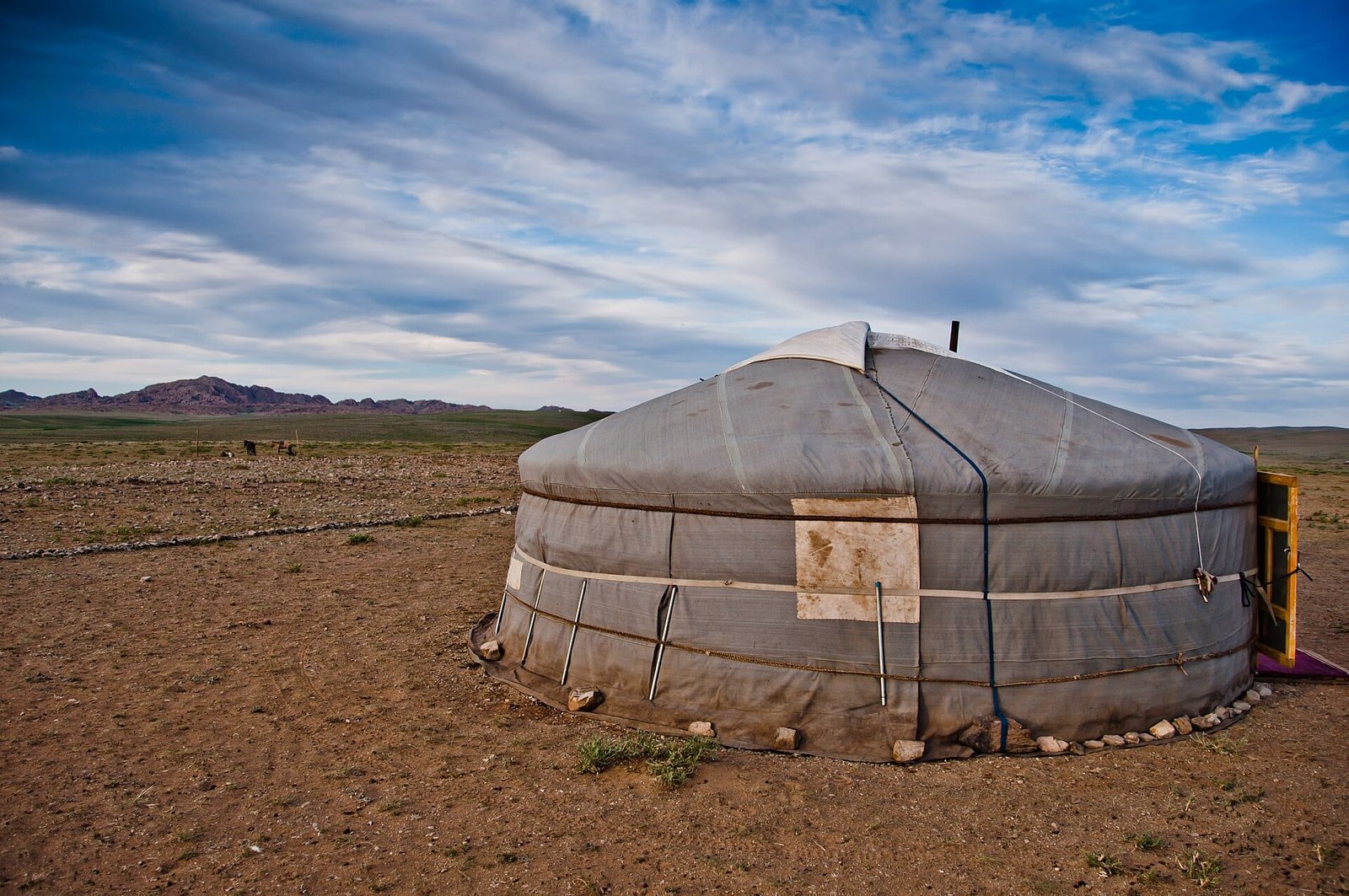 Yourte mongole (ger) isolée dans la steppe avec chevaux en arrière-plan