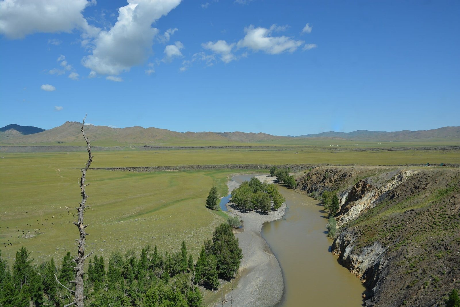 Paysage de la vallée de l'Orkhon, steppe verdoyante classée UNESCO