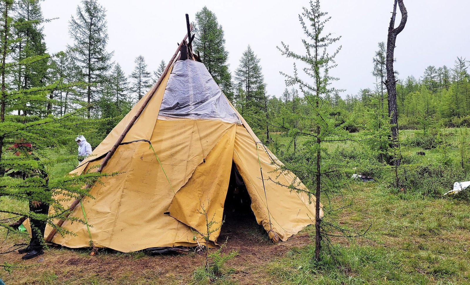 Tente traditionnelle du peuple Tsaatan dans la taïga du nord de la Mongolie