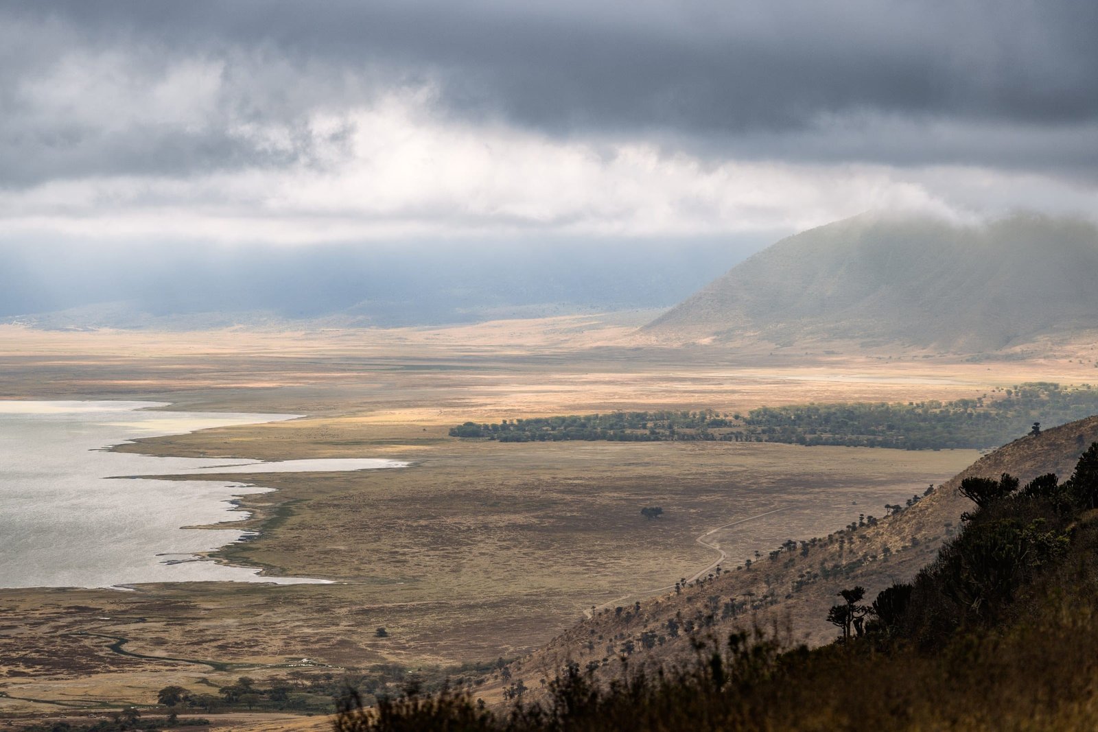 Vue panoramique sur le cratère du Ngorongoro sous un ciel nuageux, Tanzanie