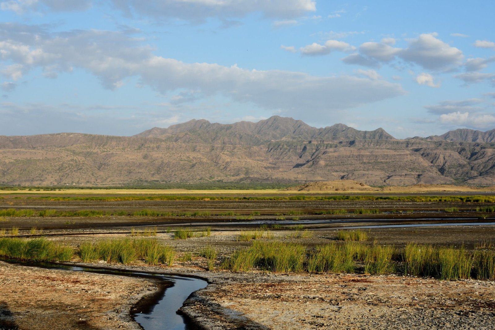 Paysage du lac Natron et de l'escarpement de la vallée du Rift, Tanzanie