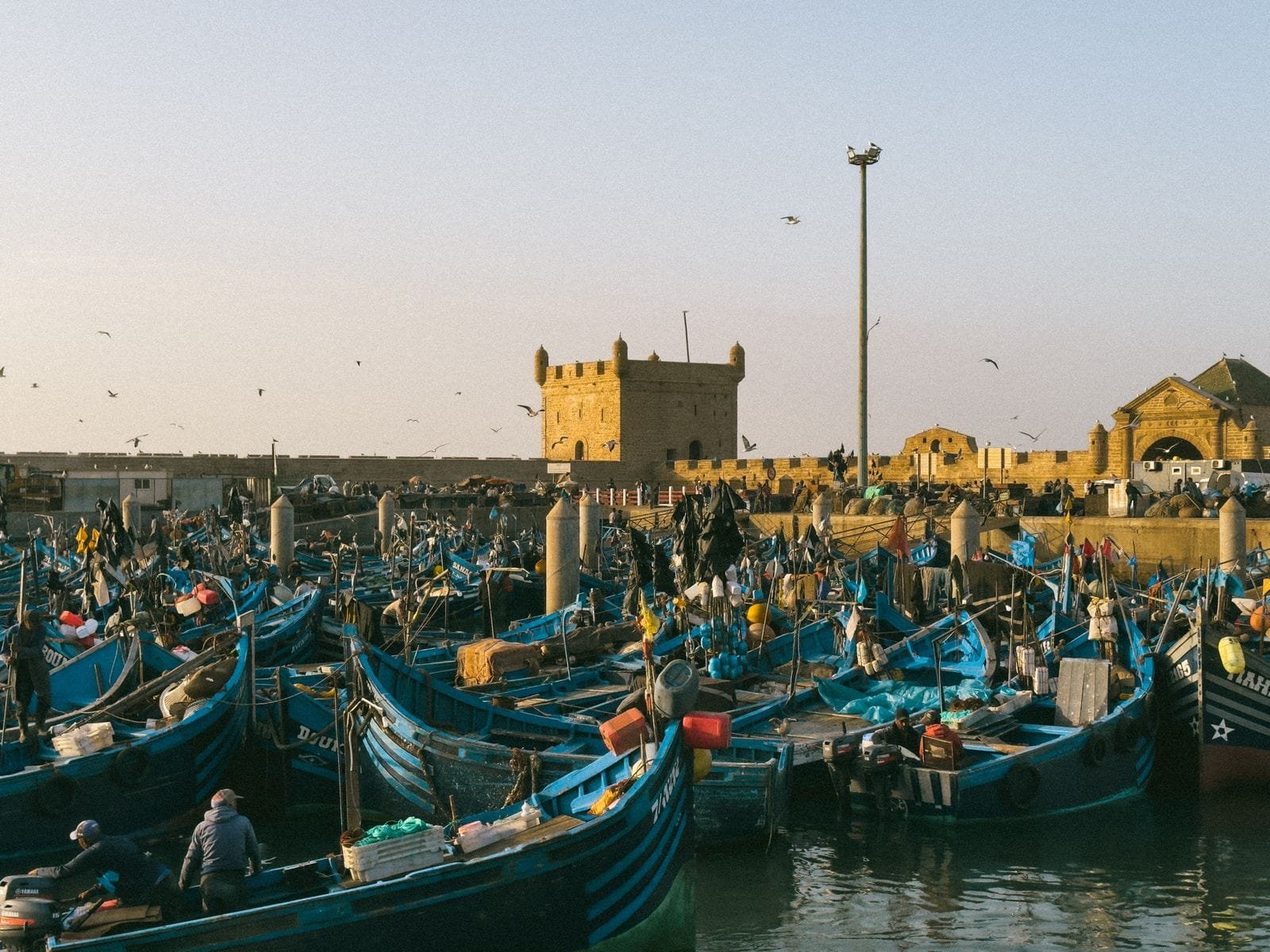 Port de pêche et remparts d’Essaouira sur la côte Atlantique du Maroc