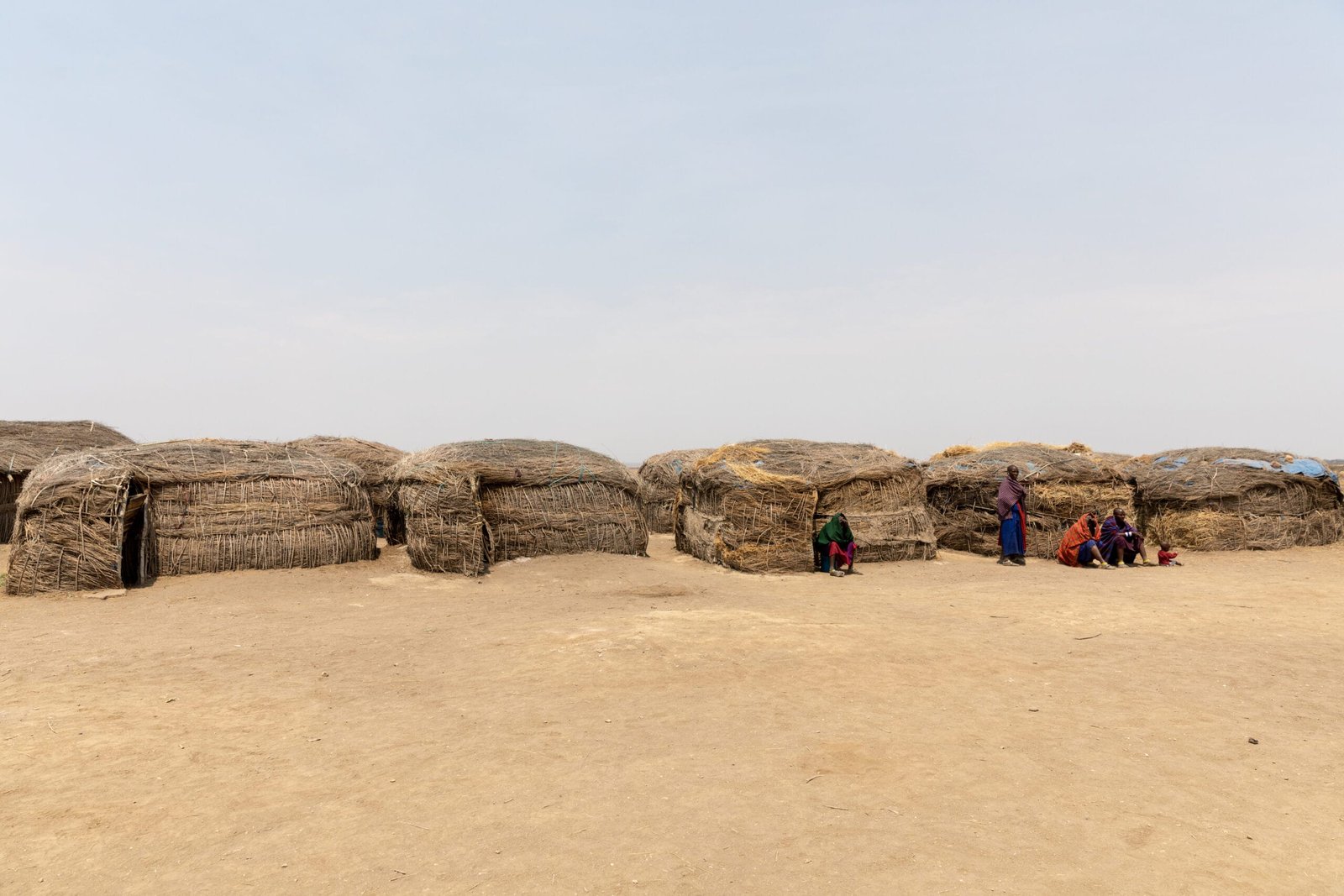 Village maasaï traditionnel avec ses cases en terre et en bois, Tanzanie
