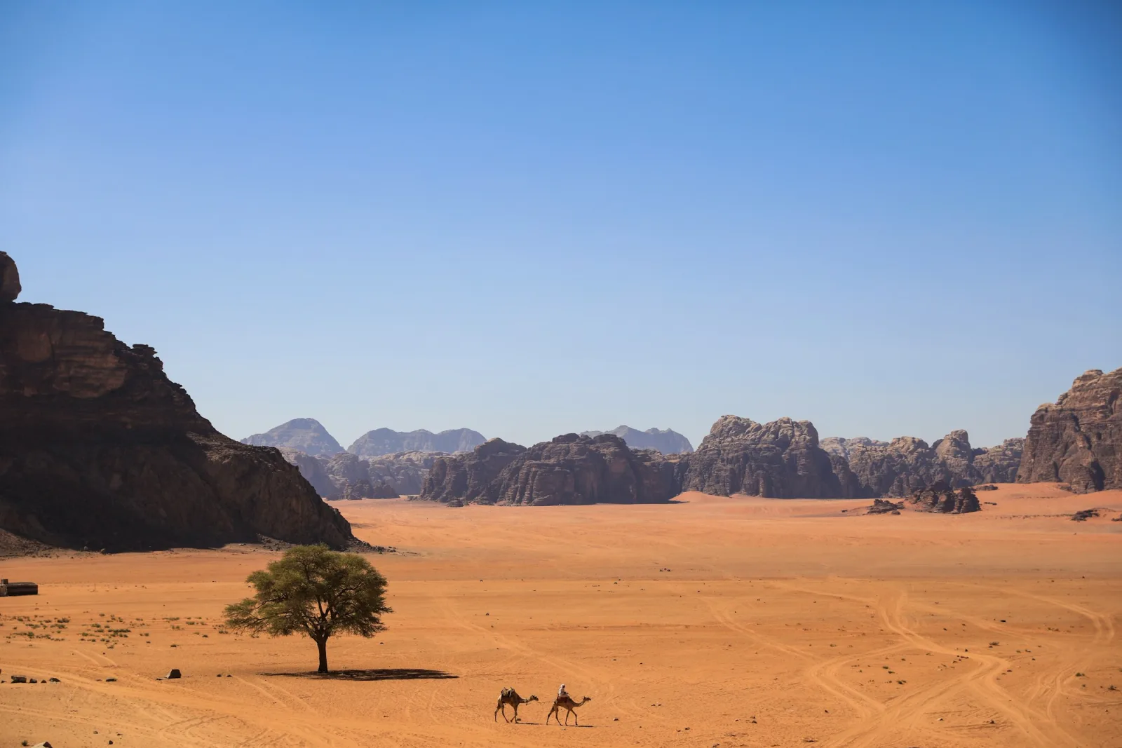 Dromadaires dans le désert de Wadi Rum en Jordanie