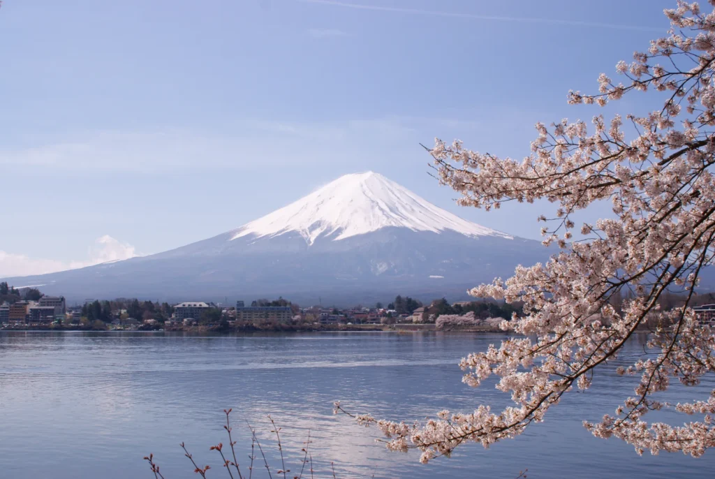 Où partir en avril : le mont Fuji encadré par les cerisiers en fleurs