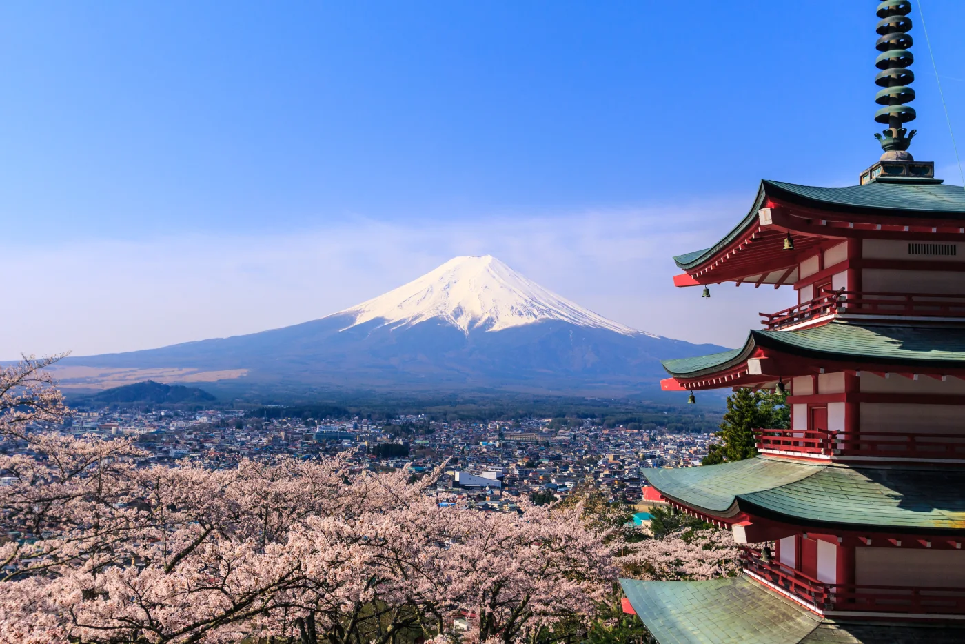 Pagode Chureito, mont Fuji et cerisiers roses au printemps au Japon