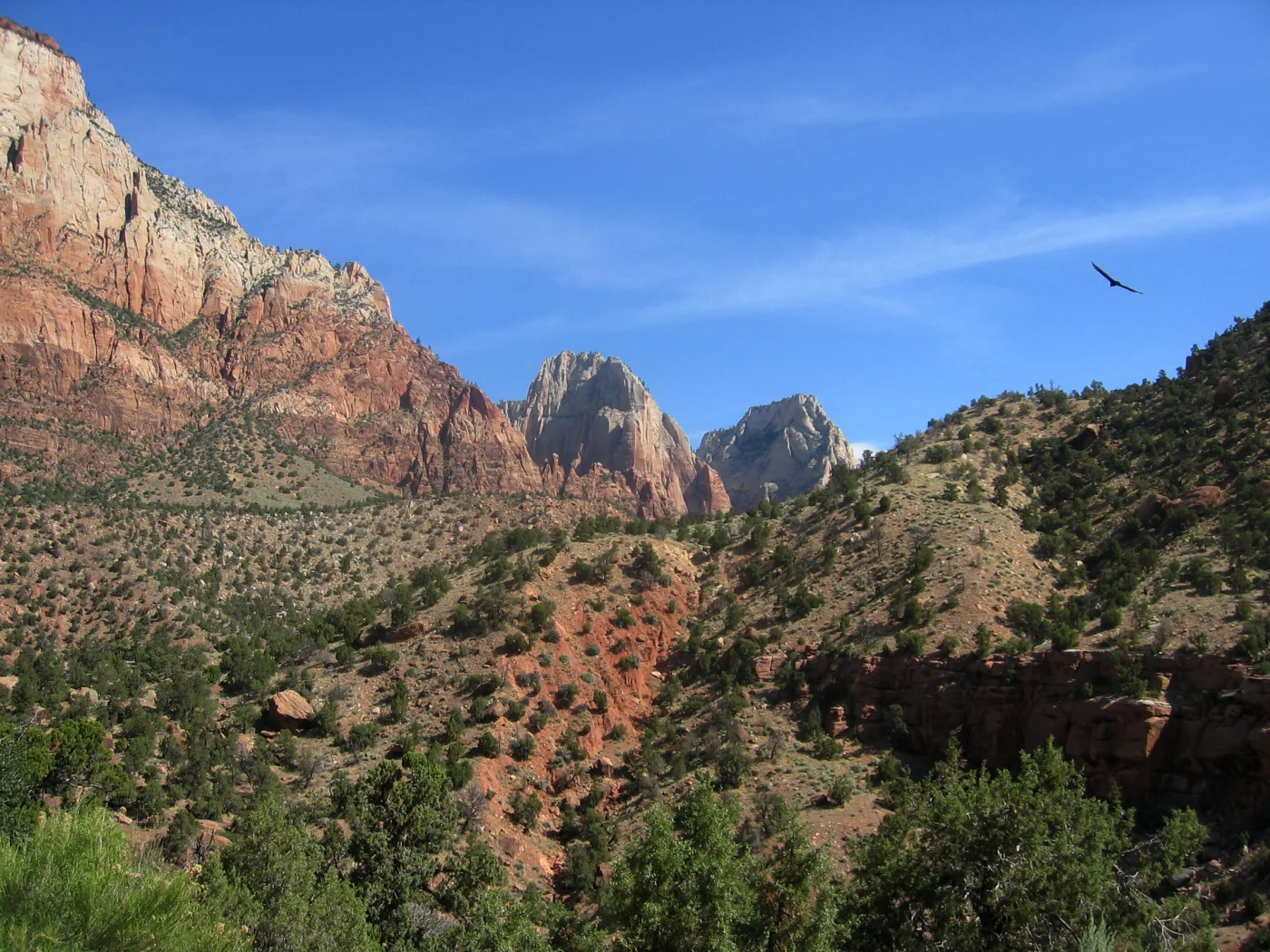 Falaises rouges et vallée verdoyante du parc national de Zion dans l’Utah