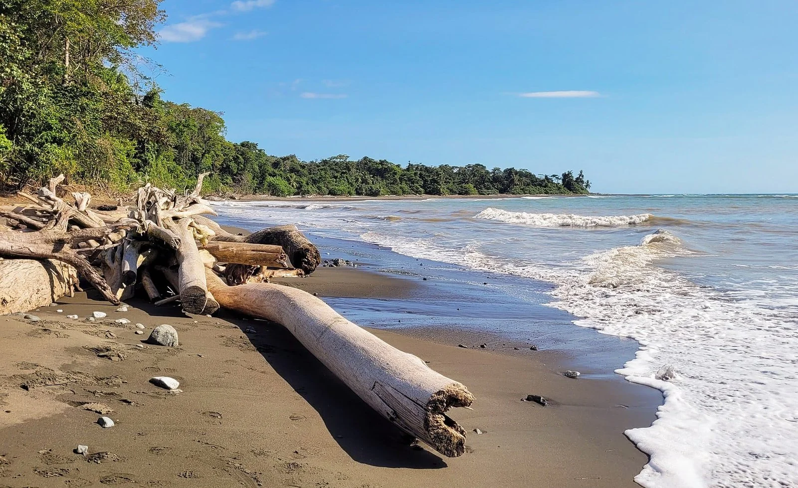Sentier côtier dans le parc national Corcovado au Costa Rica